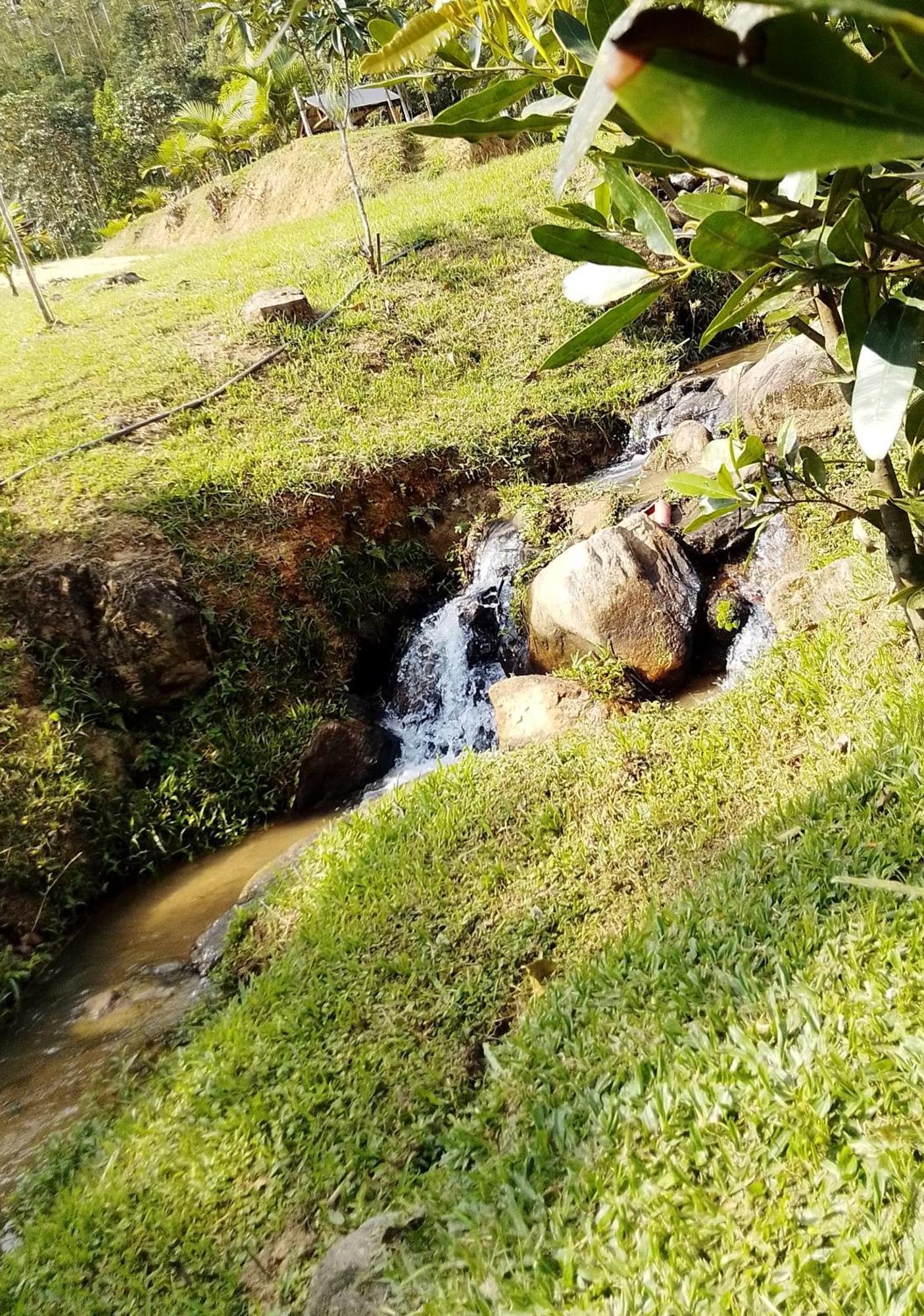 Glamping Casal - Mini Chale Mobiliado Com Colchao Casal Roupa De Cama Travesseiros - Rancho Perene Estacao Rural * Jaragua do Sul